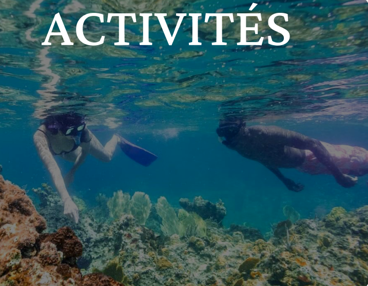 Activités à Anguilla